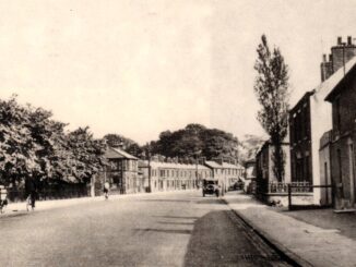 Victoria Road Lime Trees, Walton-le-Dale, circa 1935