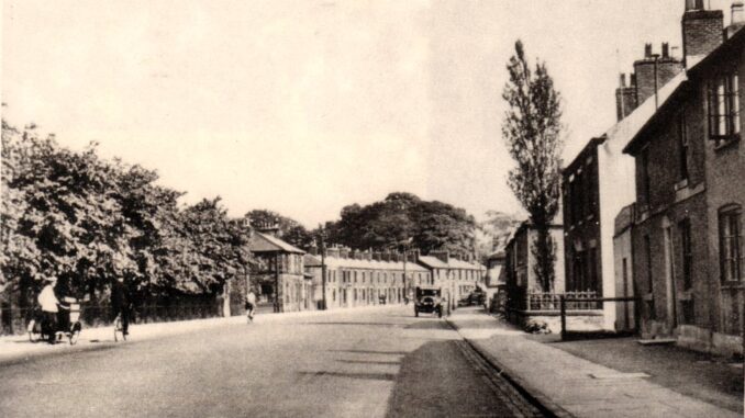 Victoria Road Lime Trees, Walton-le-Dale, circa 1935