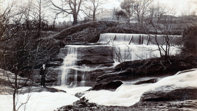A Postcard Photograph of Darwen Falls from Annie Dewhurst