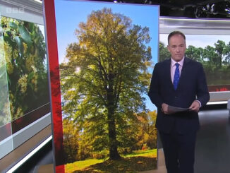 BBC North West Tonight, Evening News, June 3rd 2026