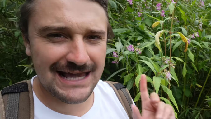 This Explosive Plant Is Invading Britain. Leave Curious YouTube Video.