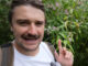 This Explosive Plant Is Invading Britain. Leave Curious YouTube Video.